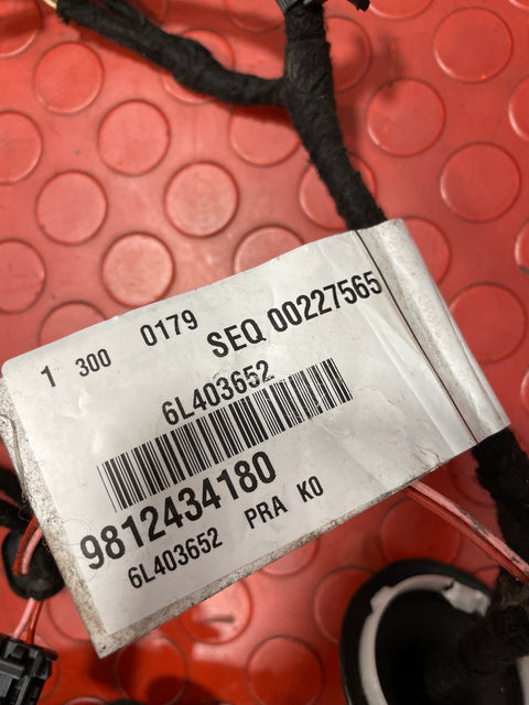 Citroen Dispatch/Peugeot Expert/Vauxhall Vivaro/Toyota Proace/Fiat Scudo DOOR WIRING LOOM/DOOR HARNESS Driver's Side 2019-2024 P/N 9812434180