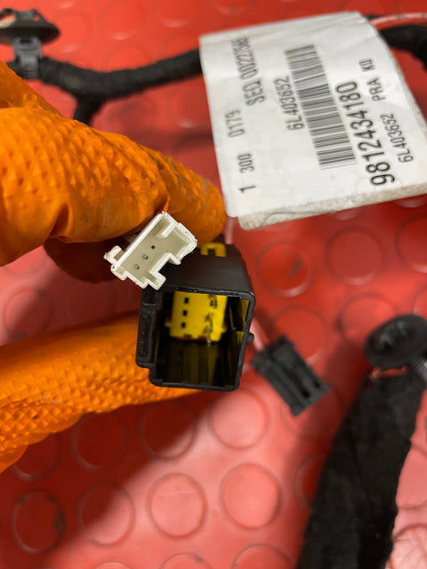 Citroen Dispatch/Peugeot Expert/Vauxhall Vivaro/Toyota Proace/Fiat Scudo DOOR WIRING LOOM/DOOR HARNESS Driver's Side 2019-2024 P/N 9812434180