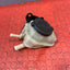 Toyota Hilux Invincible POWER STEERING FLUID RESERVOIR 2017 P/N 443600K050