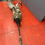 Ford Transit Custom FWD ELECTRIC STEERING RACK Mk8 2014-2019 P/N KK213D070DP