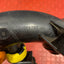 Peugeot Partner/Citroen Berlingo AIR INTAKE HOSE PIPE W/ AIR FLOW SENSOR 1.6hdi 2008-2015 P/N 9801021780 - 1