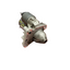 Citroen Berlingo/Peugeot Partner/Vauxhall Combo/Toyota Proace City STARTER MOTOR ASSEMBLY 1.6/1.5 12V 2016-2024 P/N 9688268480 - 7 / TS14E110