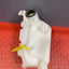 Citroen Berlingo/Peugeot Partner WASHER BOTTLE (NO PUMP) 2008-2018 P/N 9671567680
