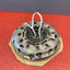 Ford Transit Custom CLUTCH PRESSURE PLATE & CLUTCH DISC 2.2 2013-2016 P/N BK217563BA