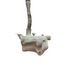 Citroen Berlingo/Peugeot Partner WASHER BOTTLE WITH FILLER NECK (NO PUMP) 2008-2018 P/N 9671568380